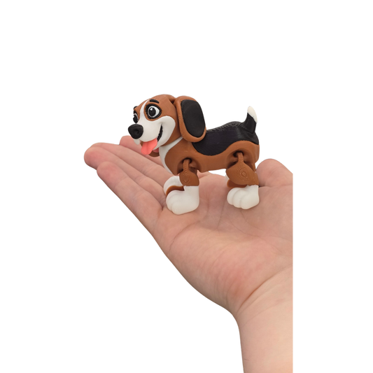 Beagle