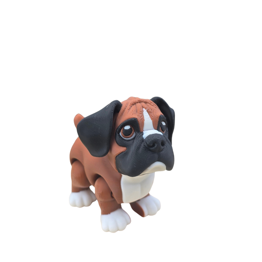 Boxer