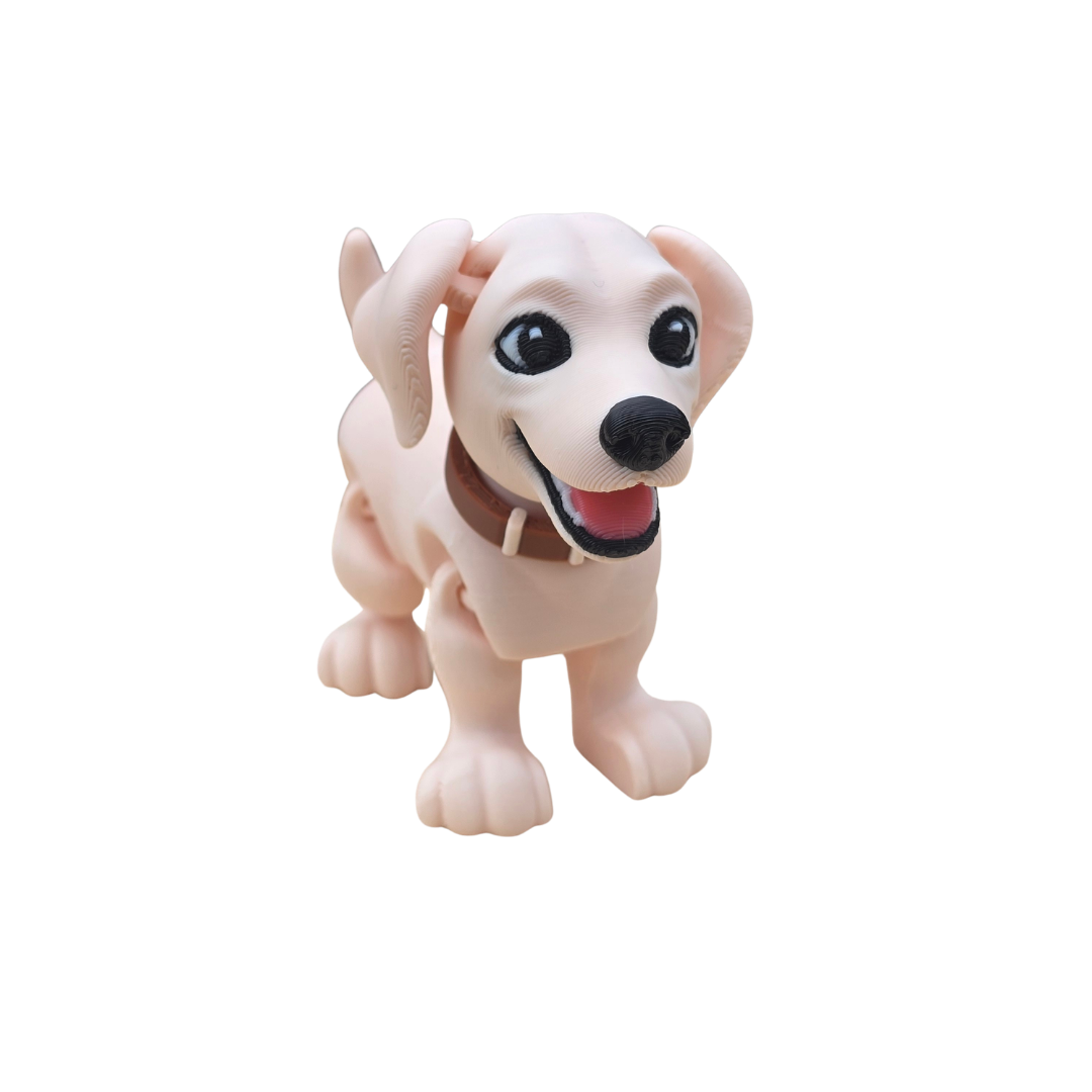 Labrador