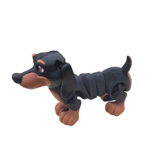Dachshund