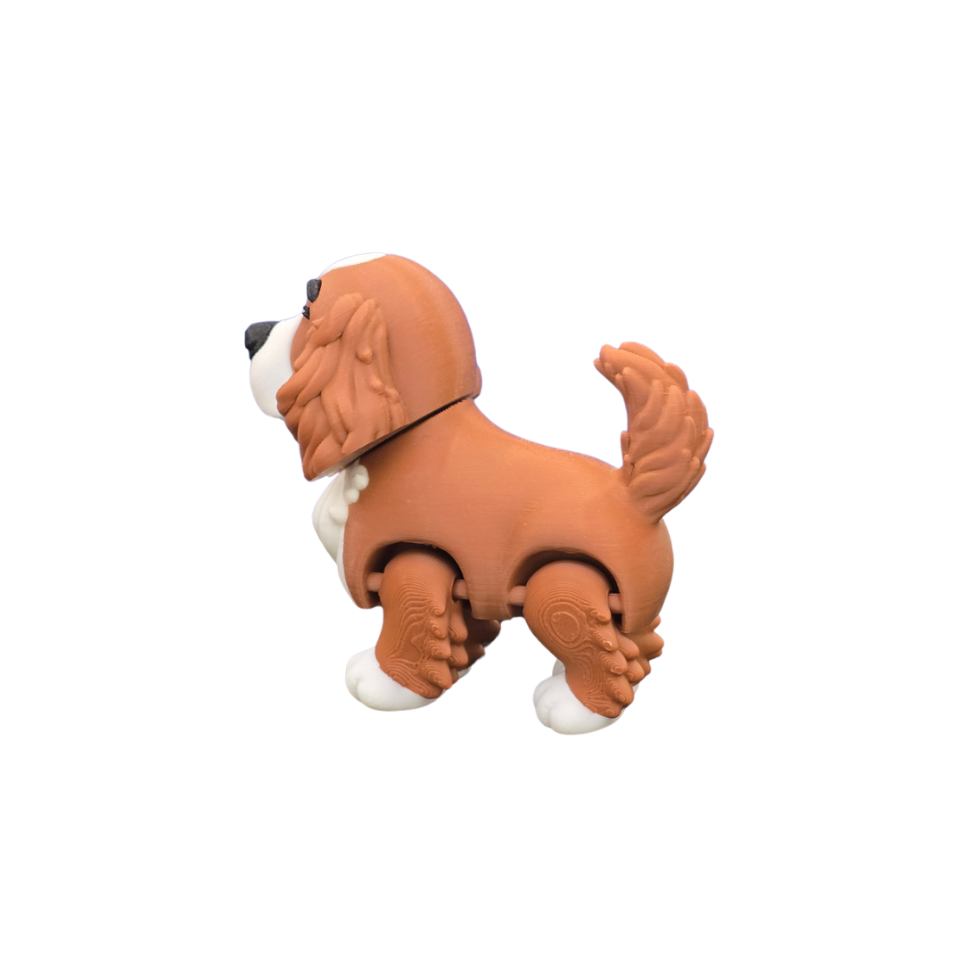 Cocker Spaniel