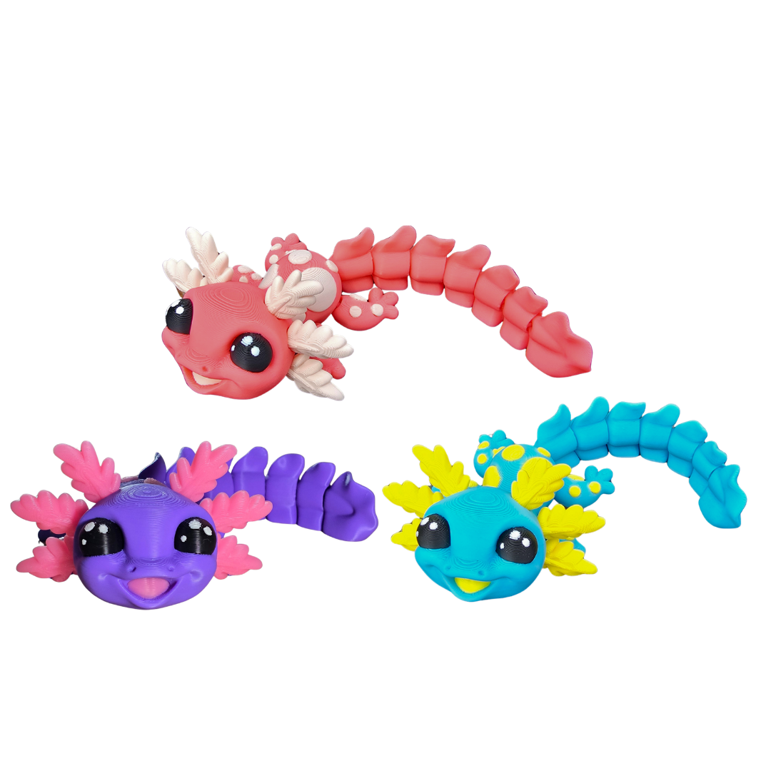 Sea Creatures & Friends