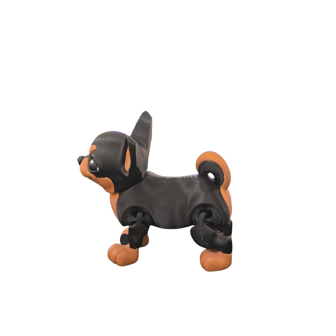 Chihuahua