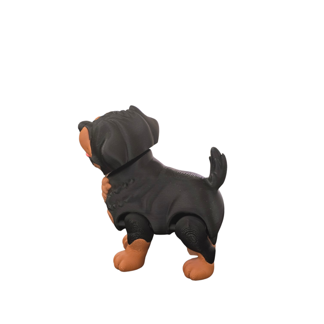 Rottweiler