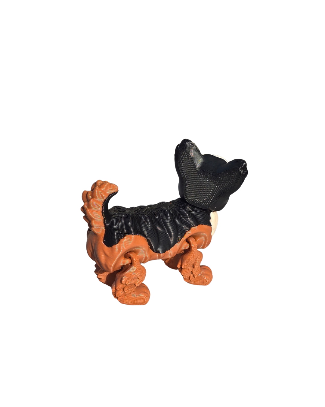 Yorkie