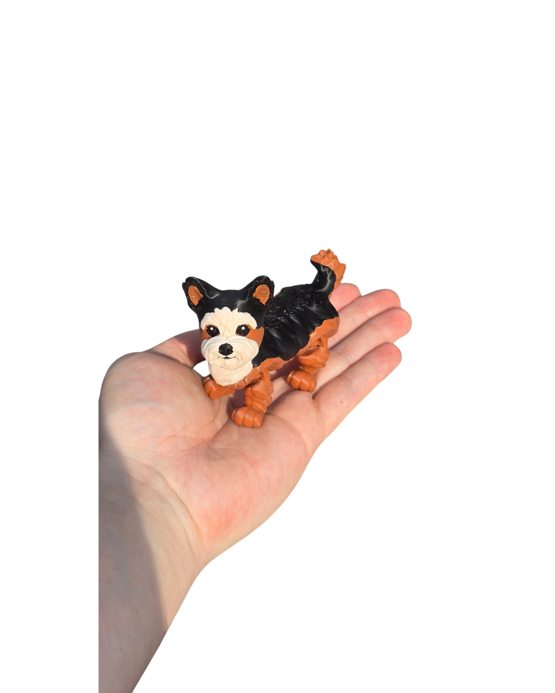 Yorkie