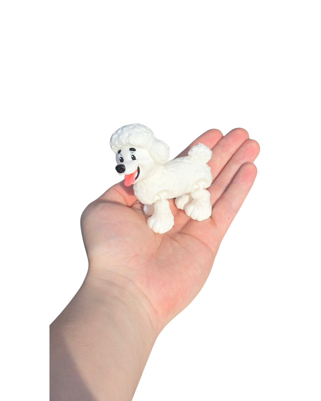 Poodle