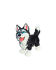 Husky