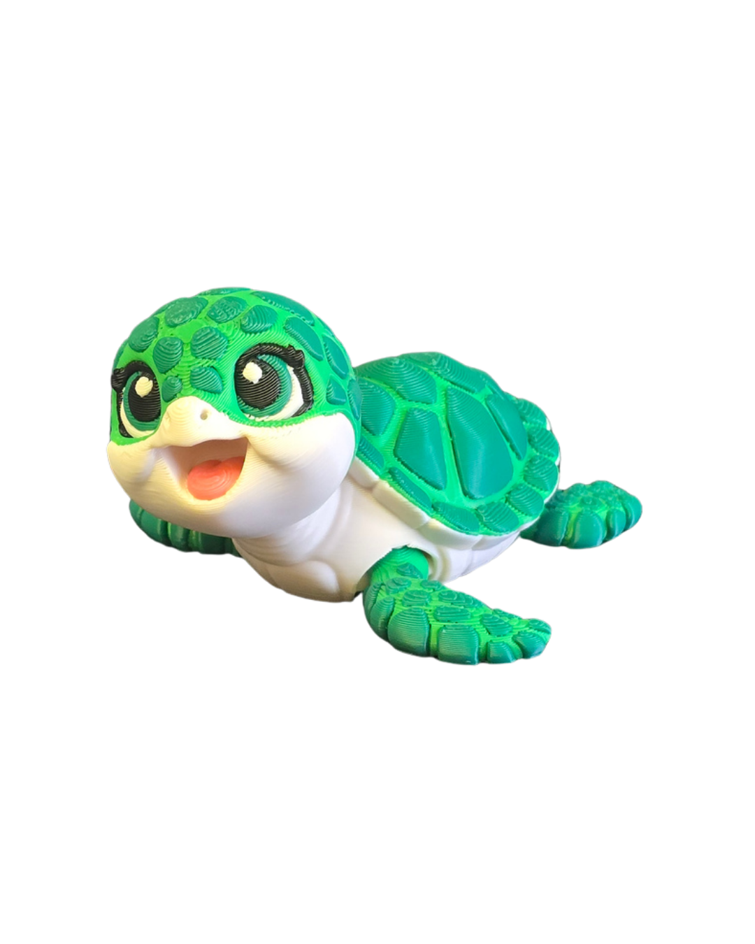 Sea Turtle