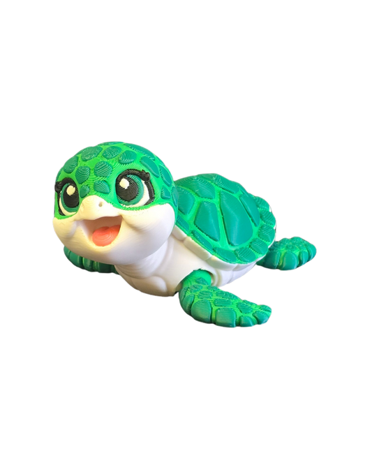 Sea Turtle