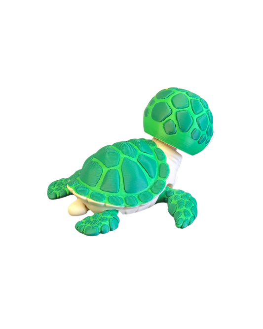 Sea Turtle