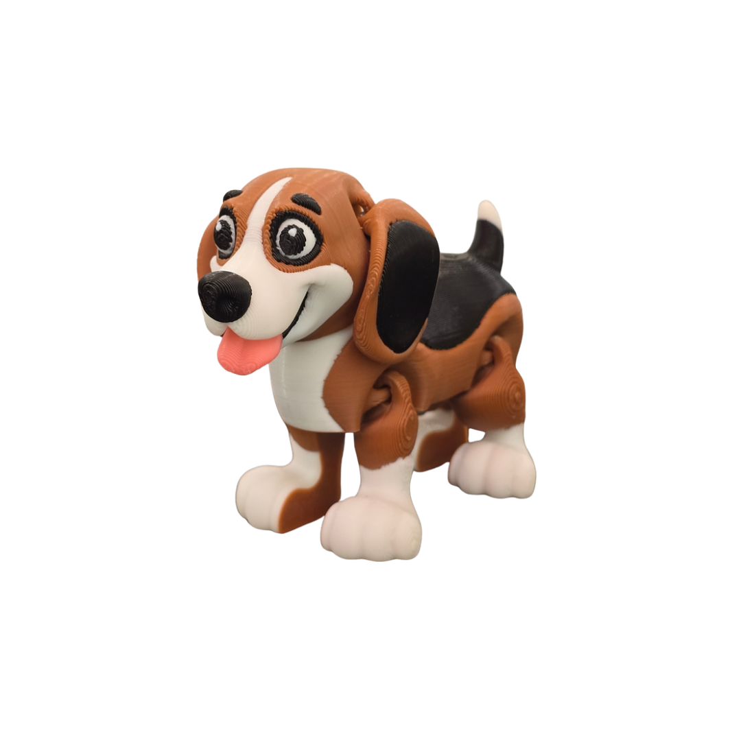 Beagle