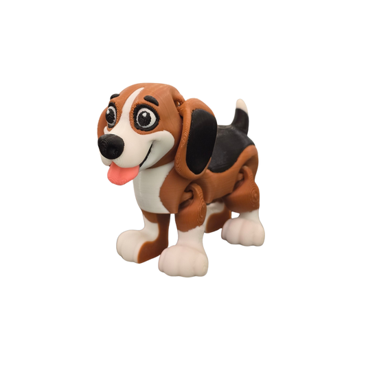 Beagle