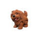 Golden Doodle