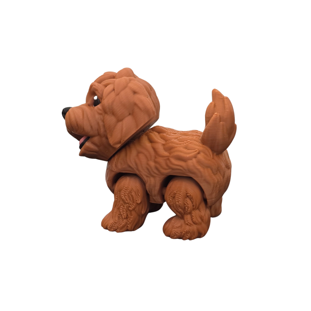 Golden Doodle