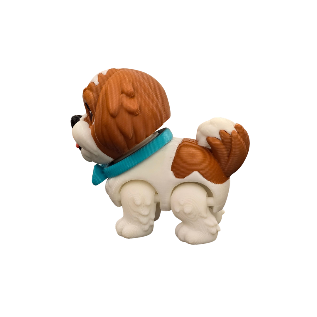 Shih Tzu