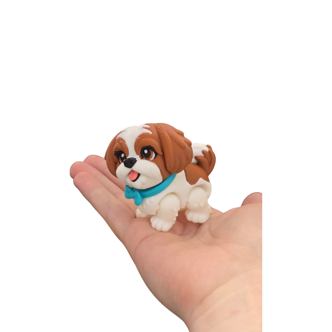 Shih Tzu