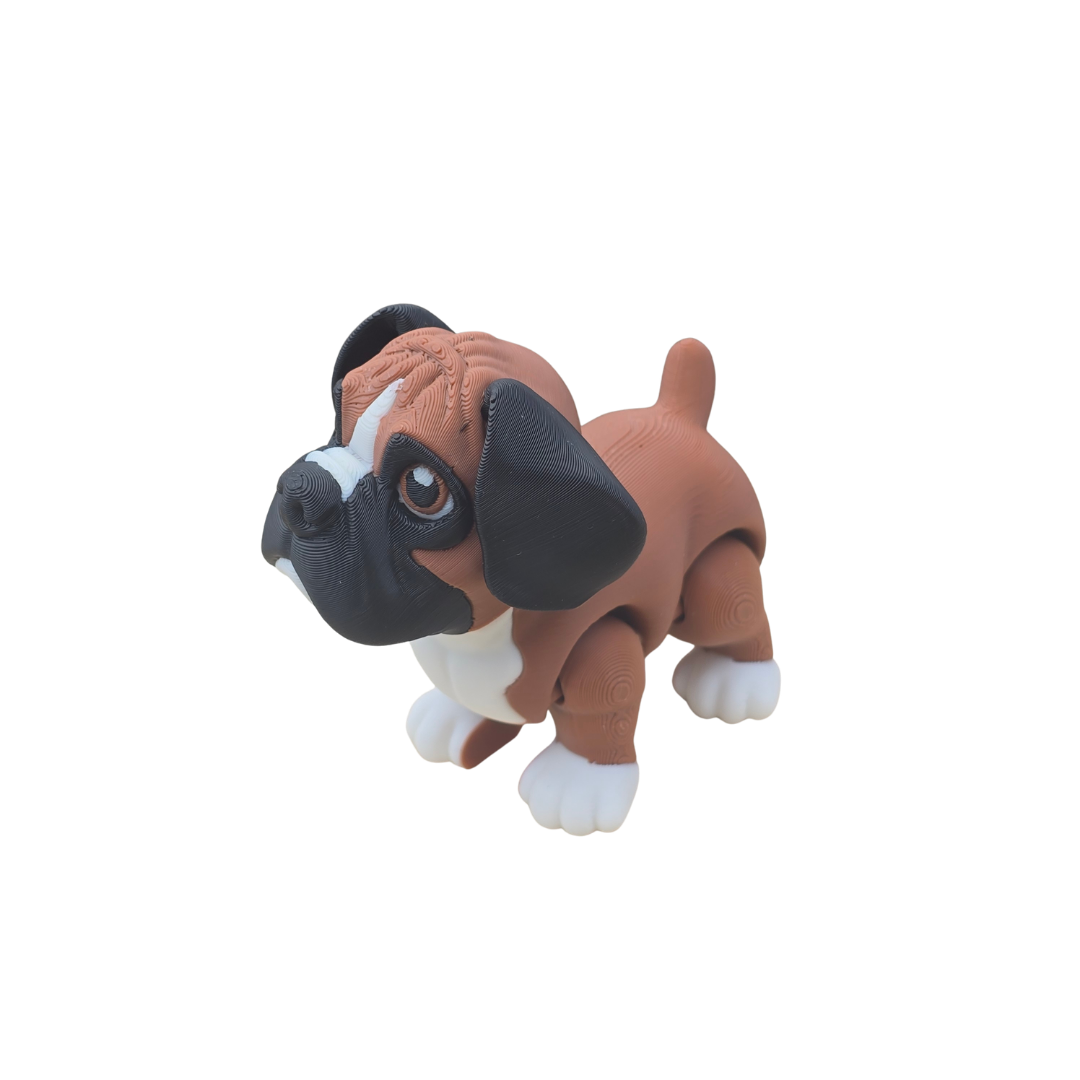 Boxer