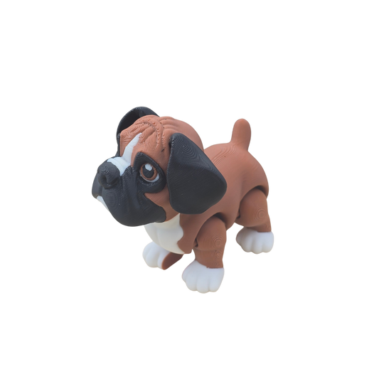 Boxer