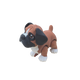 Boxer