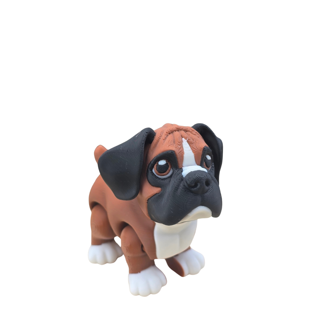 Boxer