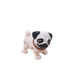 Pug
