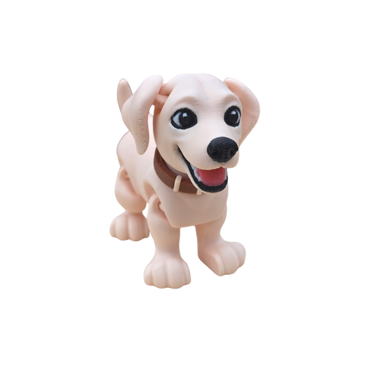 Labrador