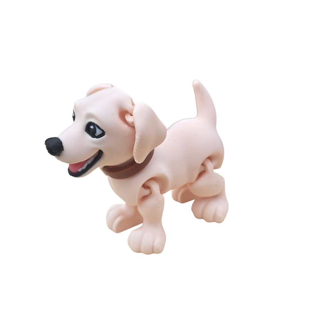 Labrador