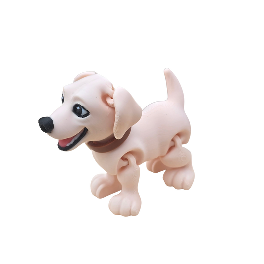 Labrador