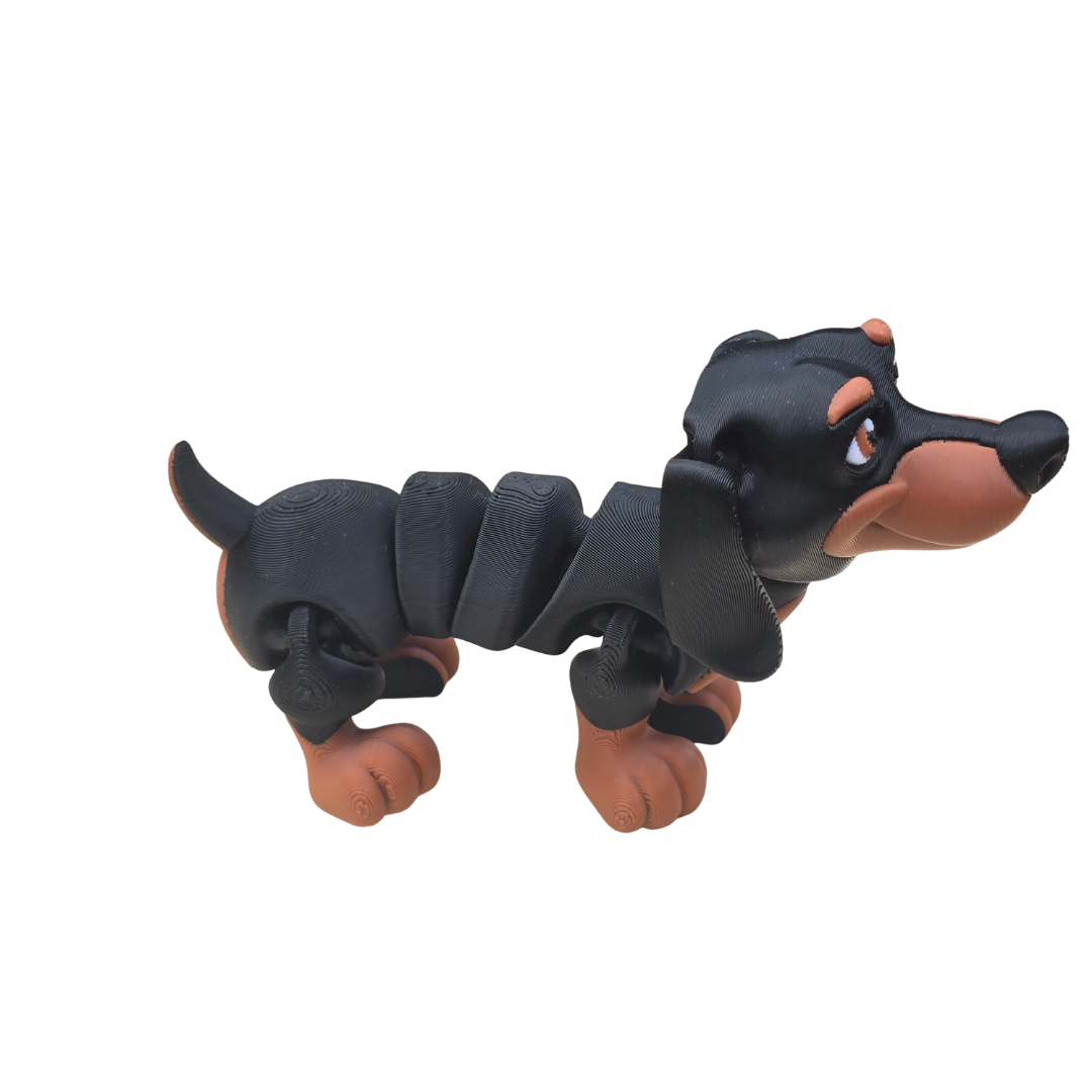 Dachshund