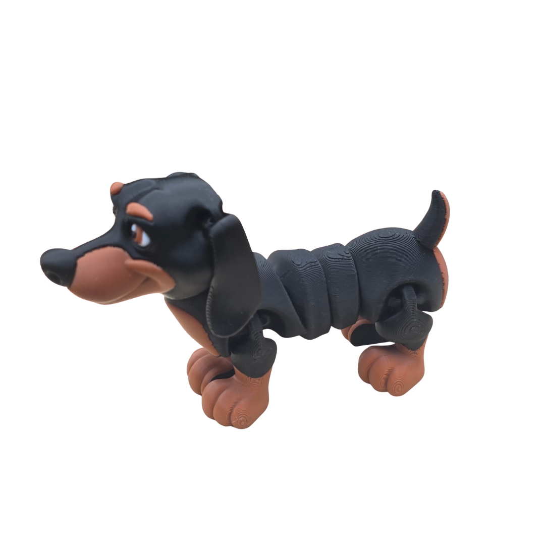 Dachshund
