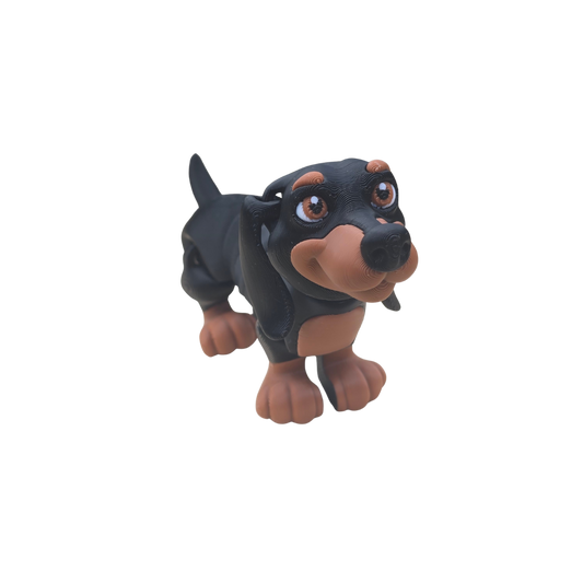 Dachshund
