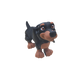 Dachshund