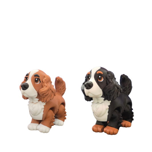 Cocker Spaniel