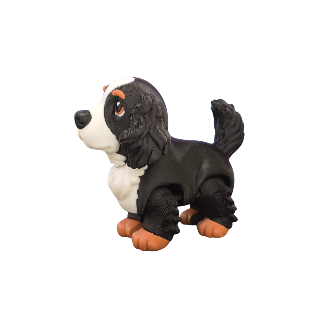 Cocker Spaniel