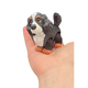 Cocker Spaniel
