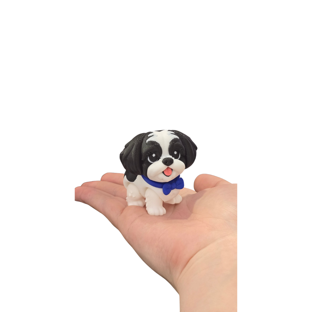 Shih Tzu
