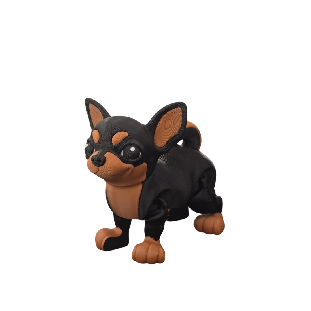 Chihuahua