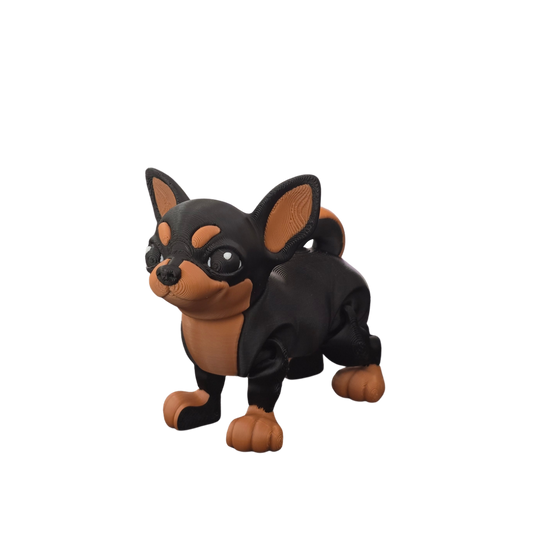 Chihuahua