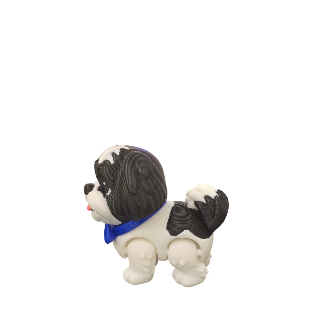 Shih Tzu