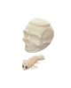 Skull Baby Dragon