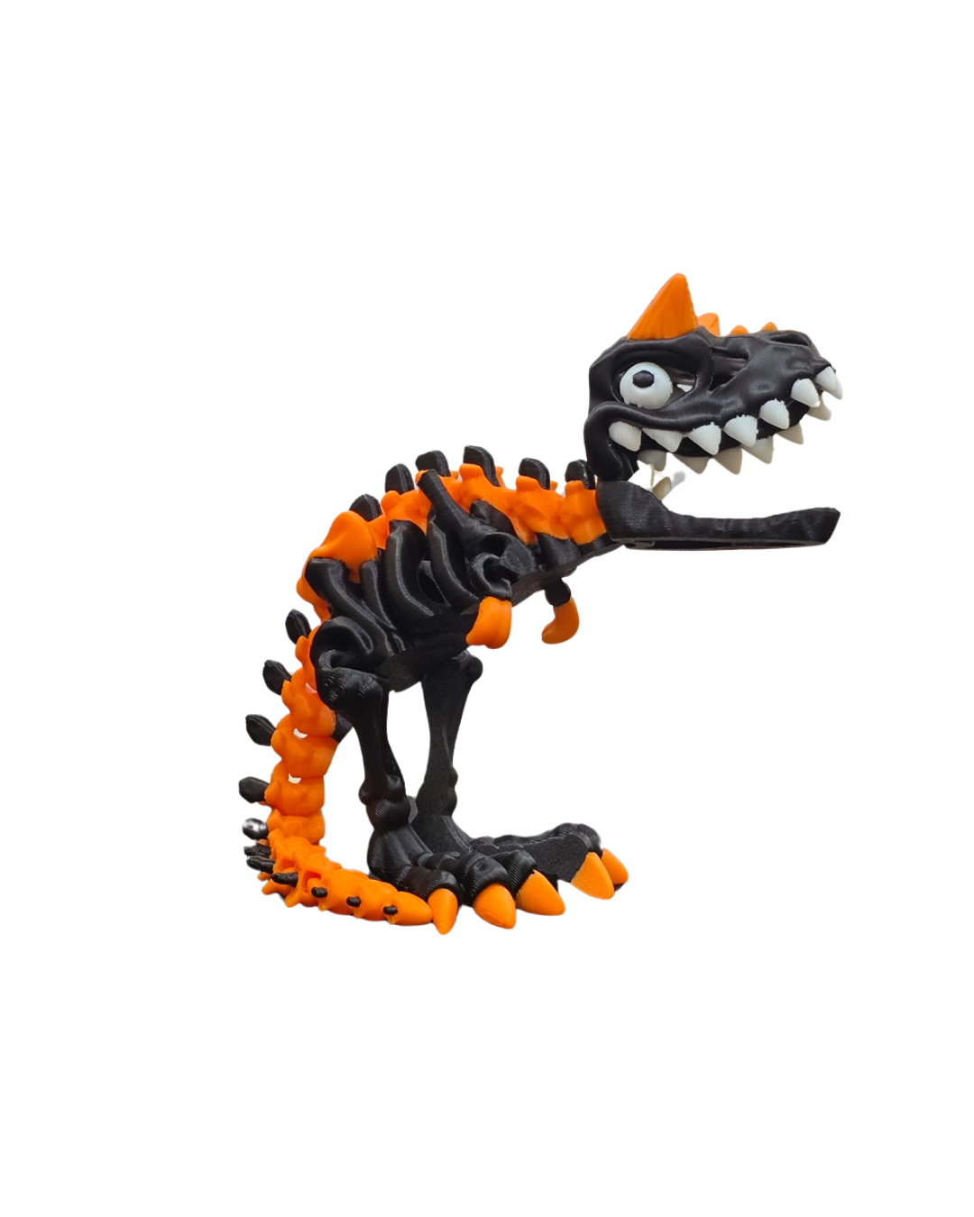 Skeleton Dinosaurs