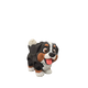 Bernese Mountain Dog Fidget Pet