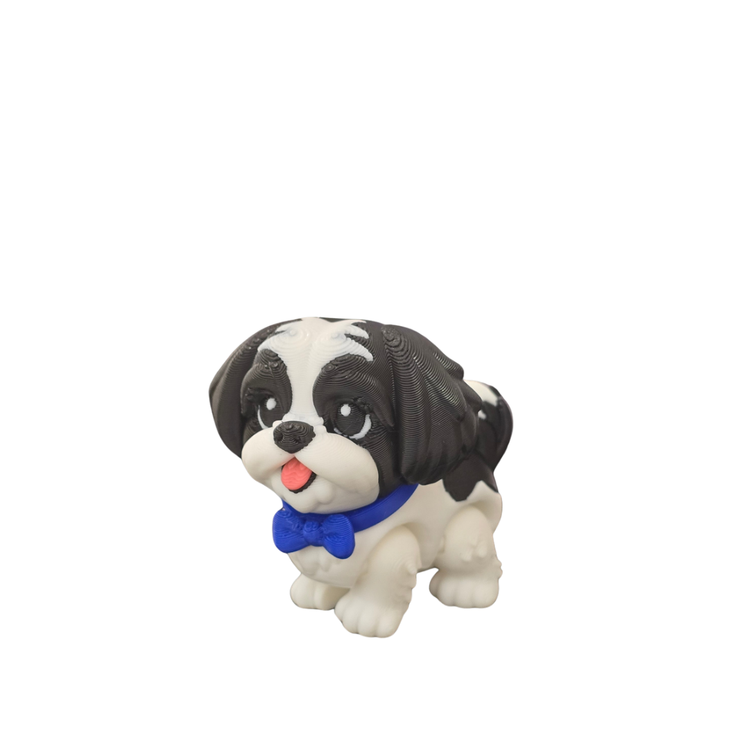 Shih Tzu
