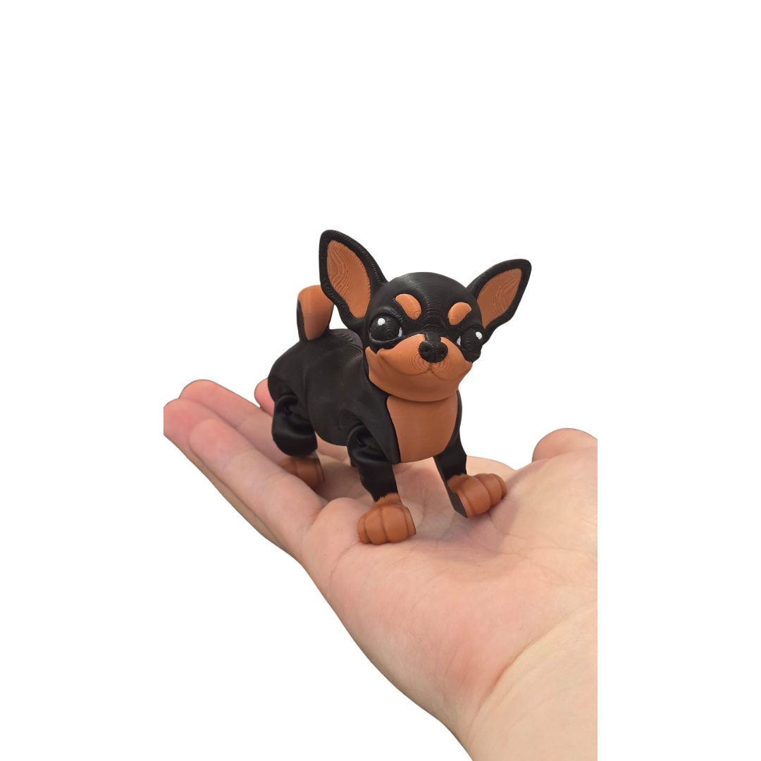 Chihuahua