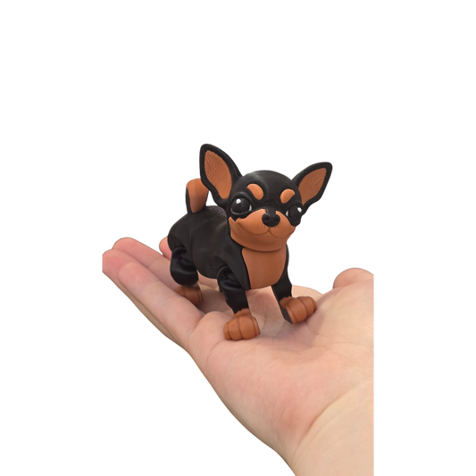 Chihuahua