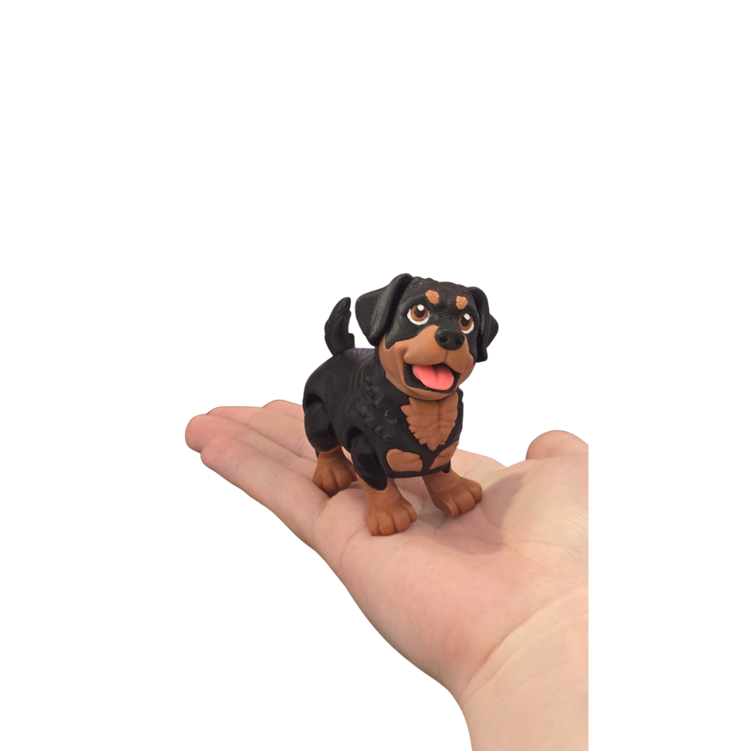 Rottweiler