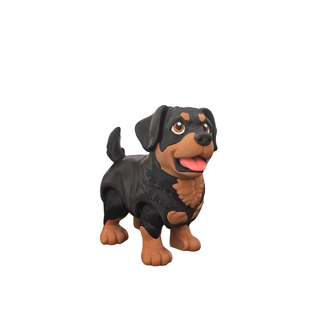 Rottweiler